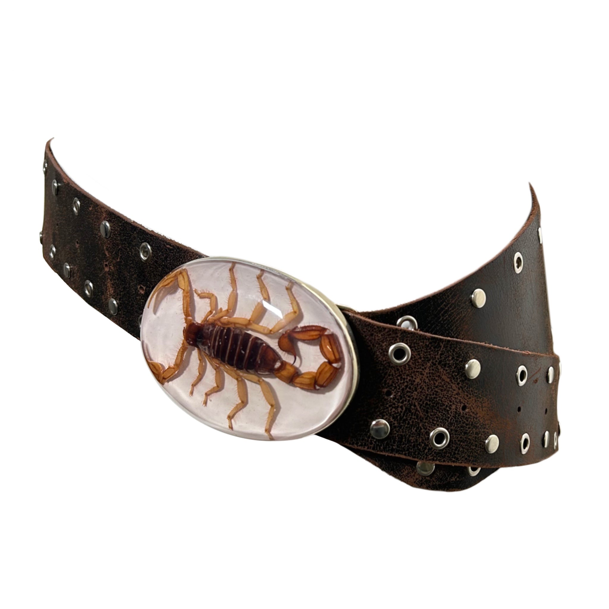 El Escorpión Hip Belt (Cafe)